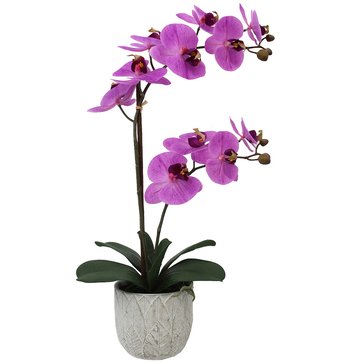 Mikasa Double Branch Faux Orchid in Embossed Leaf Cement Pot