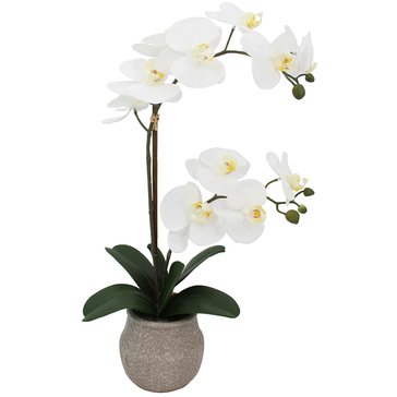 Mikasa Double Branch Faux Orchid in Round Basket Weave Cement Pot