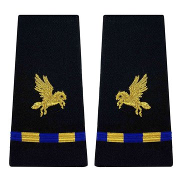 Soft Boards WO1 Air Vehicle Pilot AVP