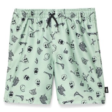 Vans Big Boys' Primary Print Elastic Boardshorts