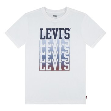 Levi's Big Boys' Ombre Logo Tee