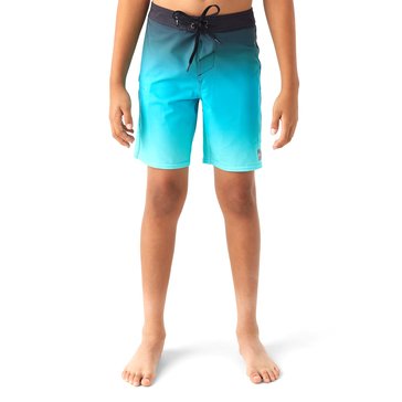 O'Neill Big Boys' Hyperfreak Heat Fade Swim Trunks