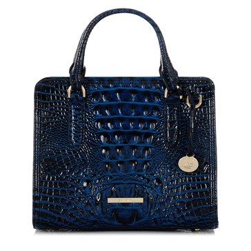 Brahmin Cami Satchel