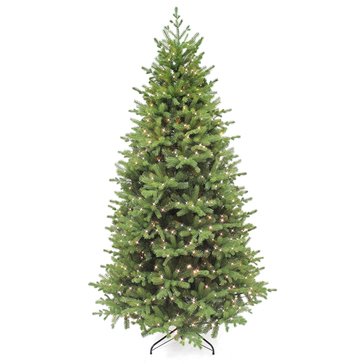 Prelit Coastal Douglas 7-Foot Fir Tree