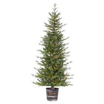 Gerson 6-Foot Prelit Natural Cut Glendale Pine Potted Tree