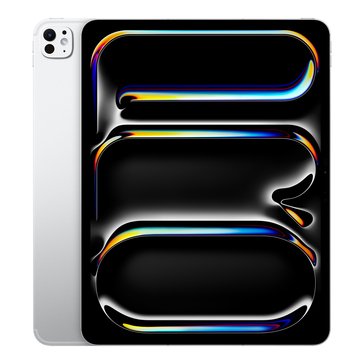 Apple 13