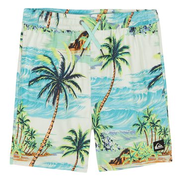 Quiksilver Big Boys' Everyday Mix Volley Boardshorts