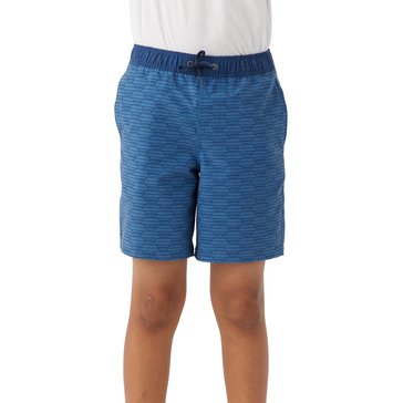 O'Neill Big Boys' Stockton Print Elastic Waist Shorts