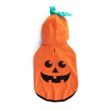 Petco Bootique Pumpkin Hoodie for Dogs And Cats