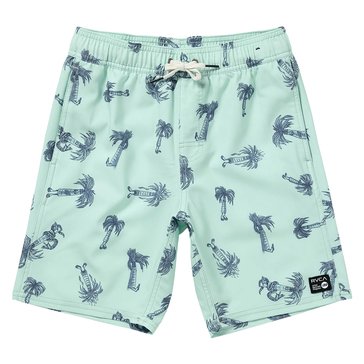 RVCA Big Boys' Pommier Palms Elastic Boardshorts