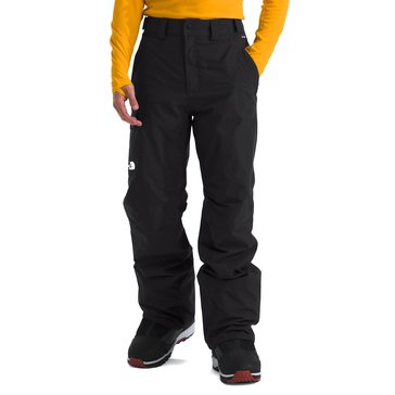 The North Face Men's Freedom Insulated Snow Pants