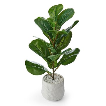 Elements Plants 22-Inch Artificial Fiddlehead Plant
