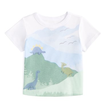 Wanderling Baby Boys' Short Sleeve Dino Mountain Tee