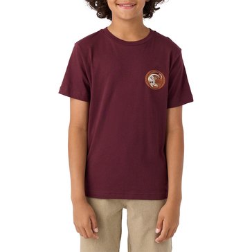 O'Neill Big Boys' Reverbaration Tee