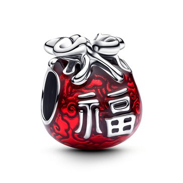 Pandora Lucky Bag Charm