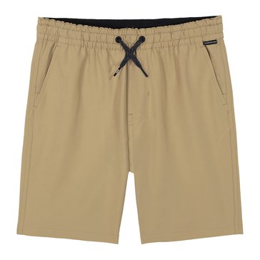 Quiksilver Big Boys' Taxer Amphibian Shorts