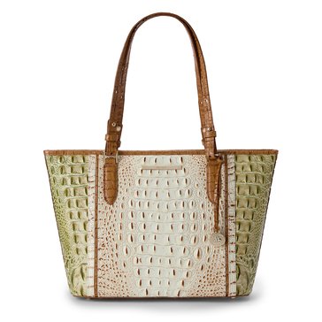 Brahmin Medium Asher Tote