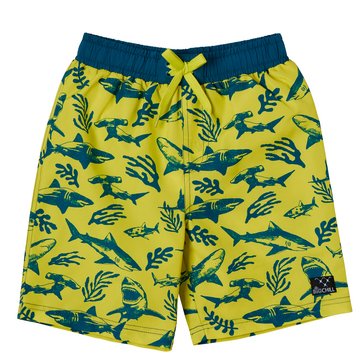 Big Chill Little Boys' Shark Print Swim Trunks