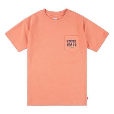 Levis Little Boys