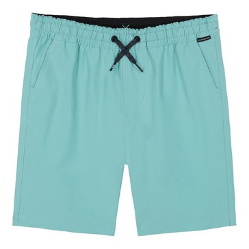 Quiksilver Little Boys' Taxer Amphibian Shorts