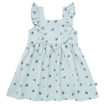 Gerber Baby Girls' Dress with Bow in the Back