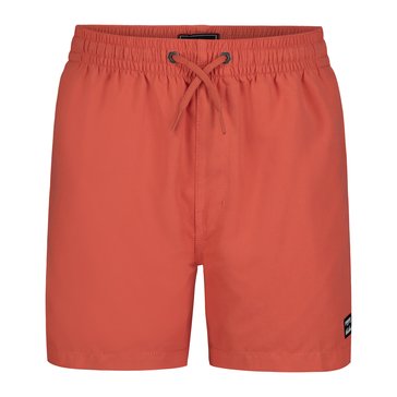 Billabong Little Boys' All Day Layback Boardshorts