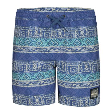 Quiksilver Little Boys' Surfsilk Global Volley Boardshorts
