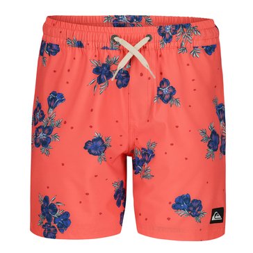 Quiksilver Big Boys' Surfsilk Mix Volley Boardshorts