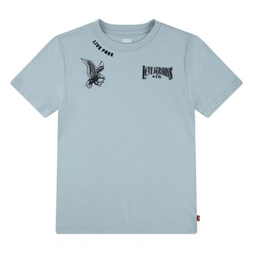 Levi's Big Boys' Live Free Tee