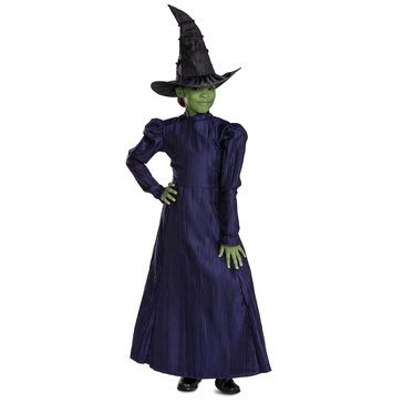 Disguise Elphaba Deluxe Costume