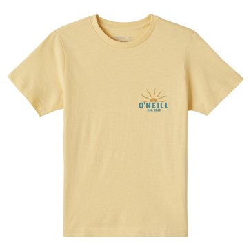 O'Neill Big Boys' Carver Tee