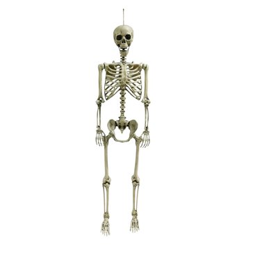 White Hanging Skeleton
