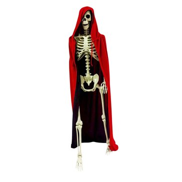 Standing Halloween Skeleton with Shawl