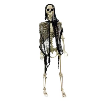 Standing Halloween Skeleton