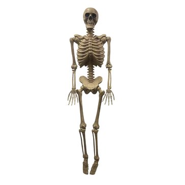 HKS Global Resources 42in Hanging skeleton Outdoor Decor