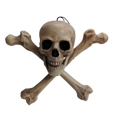 HKS Global Resources Skull and Cross Bones with Light Up Eyes