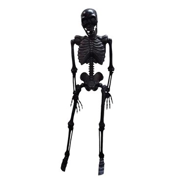 HKS Global Resources Black Hanging Halloween Skeleton