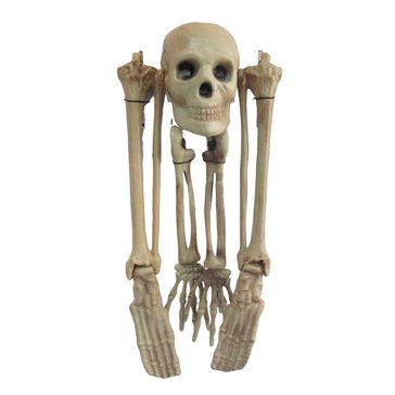 HKS Global Resources Halloween Yard Skeleton