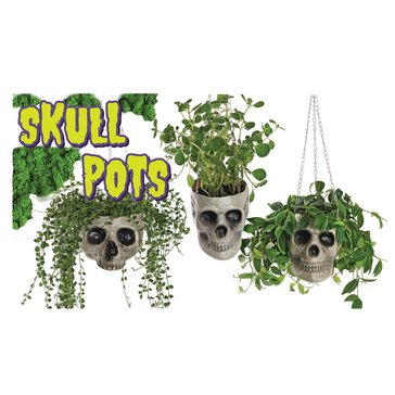 HKS Global Resources Halloween Skull Pots, Set of 3