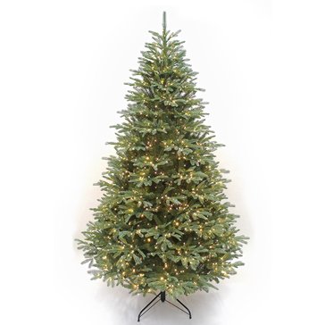 HKS Global Resources 7.5-Foot Prelit Coast Grand Fir Artificial Christmas Tree