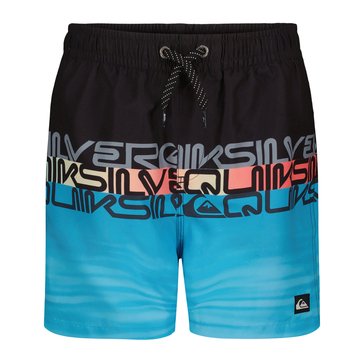 Quiksilver Big Boys Wordblock Volley Swim Shorts
