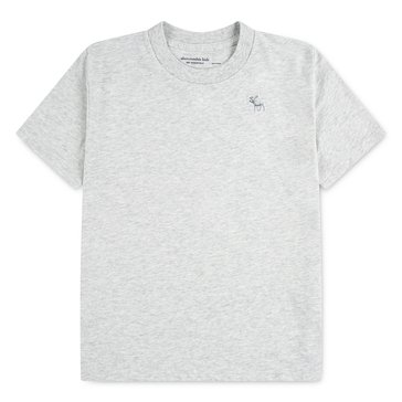 Abercrombie & Fitch Big Boys' Short Sleeve Essential Tee