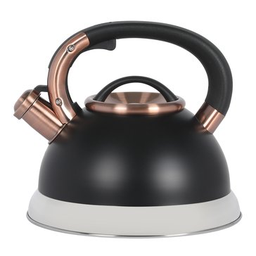 Mr Coffee Flintshire Tea Kettle