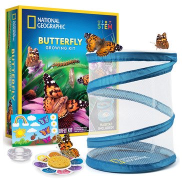 National Geographic Butterfly Growing Kit