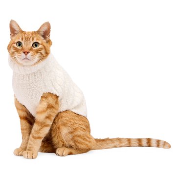 Petco Merry Makings White Chunky Sweater