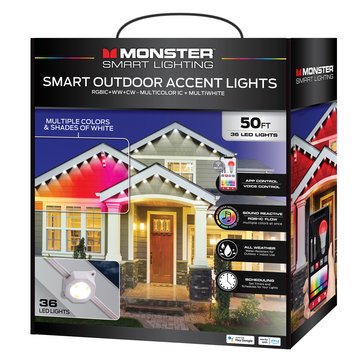 Monster LED Permanent Outdoor Lights 50-Feet