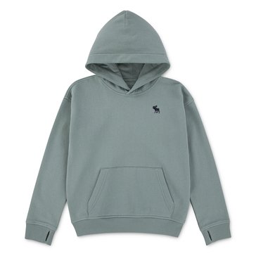 Abercrombie & Fitch Big Boys' Essentials Fleece Hoodie
