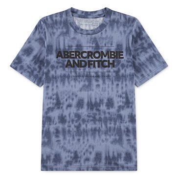 Abercrombie & Fitch Big Boys' Cinderblock Tee