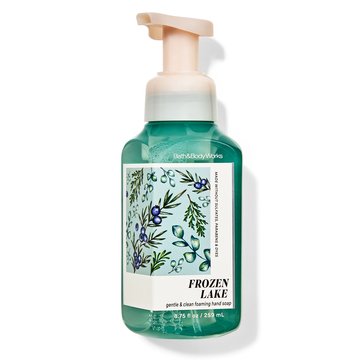 Bath & Body Works Frozen Lake Foaming Soap