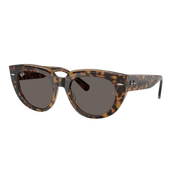 Ray-Ban Women's Doreen Sunglasses